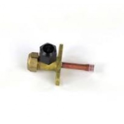 Liquid Valve for DA1221-OUTDOOR, DA1821-OUTDOOR