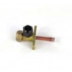 Liquid Valve for DA1221-OUTDOOR, DA1821-OUTDOOR